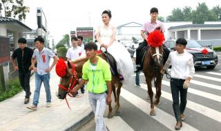 倒插门张国全结局 新倒插门女婿大结局